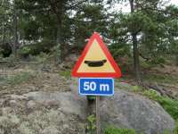 InfoXXX